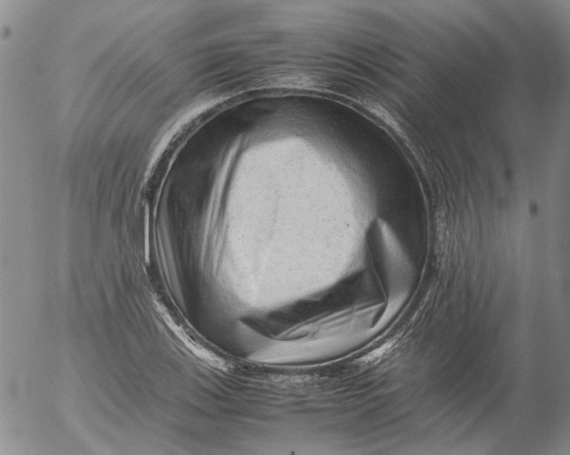 X0000053051123200508011841