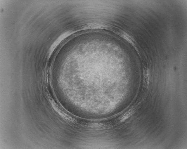 X0000053051124200508011841