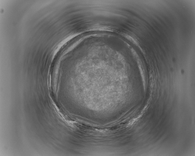 X0000053051125200508011841