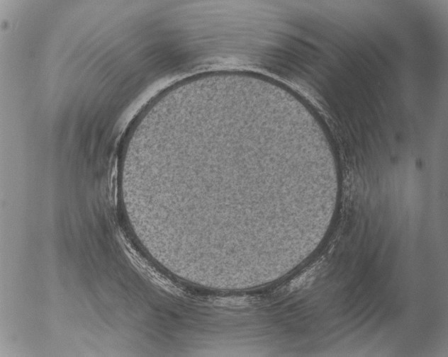 X0000053051126200508011841