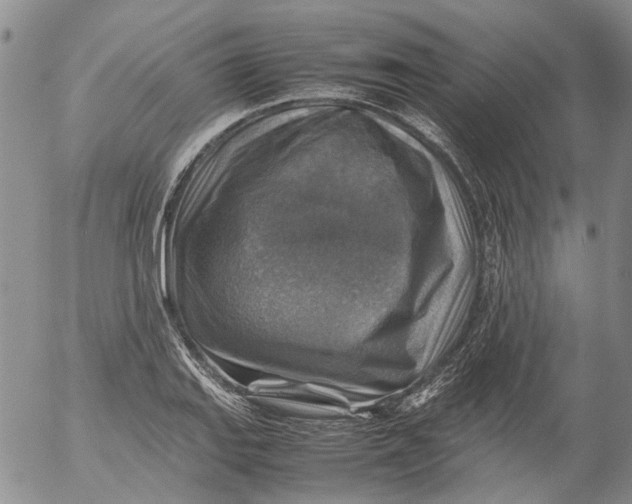 X0000053051127200508011841