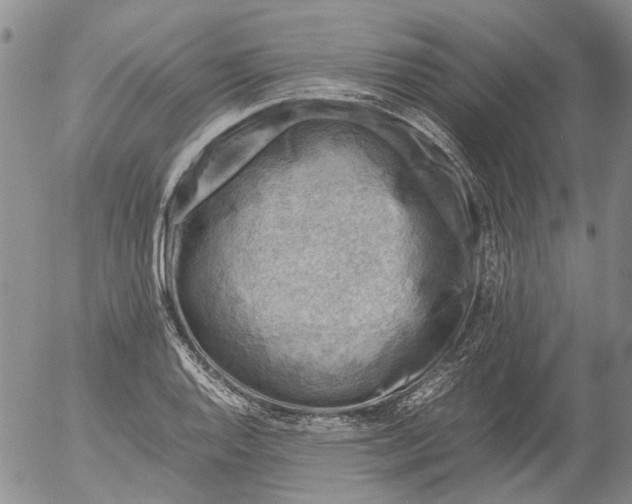 X0000053051128200508011841