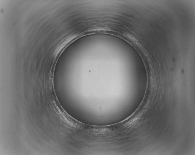 X0000053051129200508011841