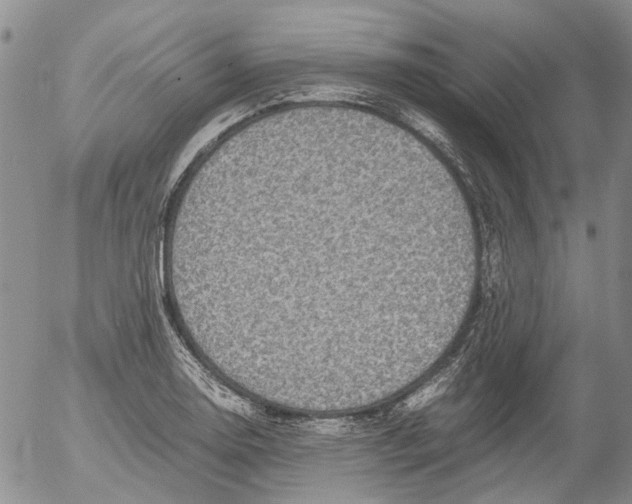 X0000053051130200508011841