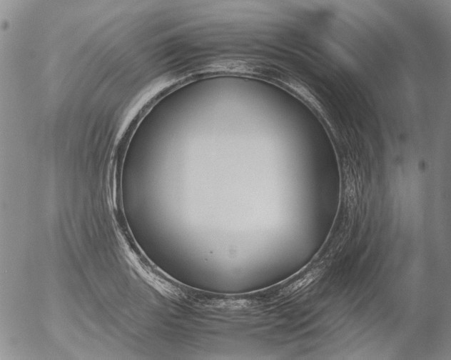 X0000053051131200508011841