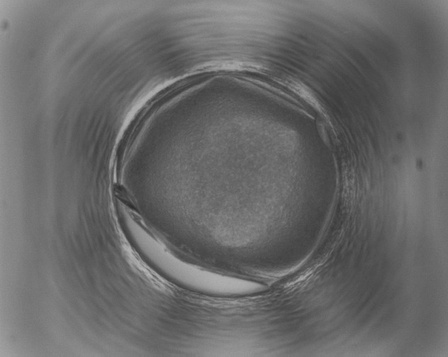 X0000053051132200508011841