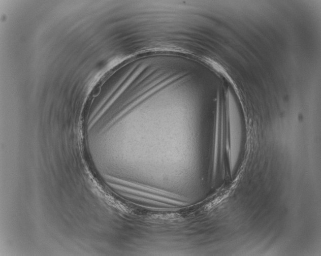 X0000053051133200508011841