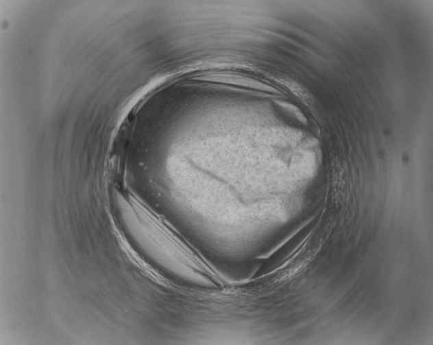 X0000053051134200508011841