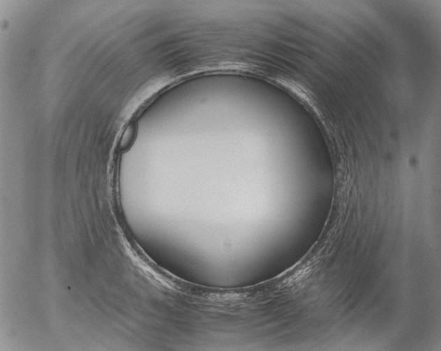 X0000053051135200508011841