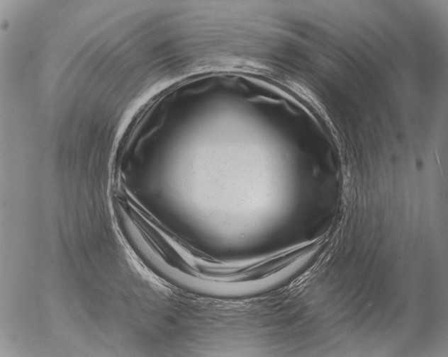 X0000053051136200508011841