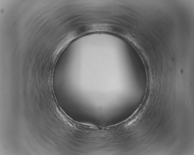 X0000053051137200508011841