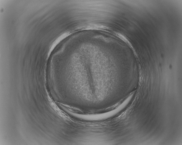 X0000053051138200508011841