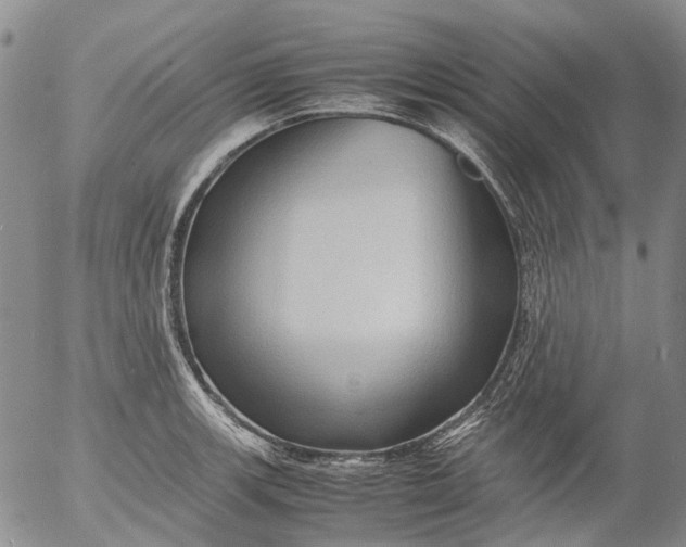 X0000053051139200508011841