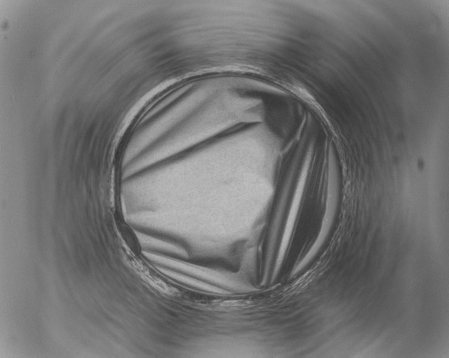 X0000053051140200508011841