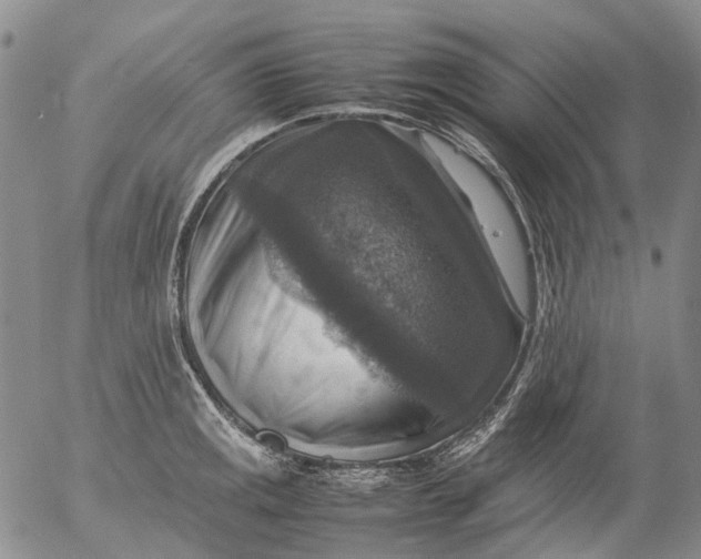 X0000053051141200508011841