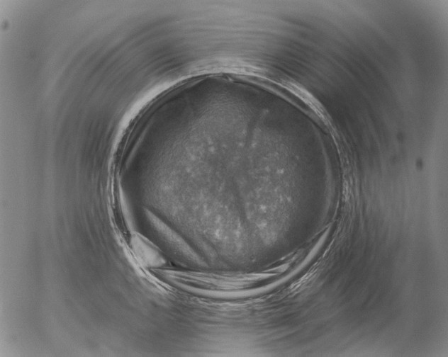 X0000053051144200508011841