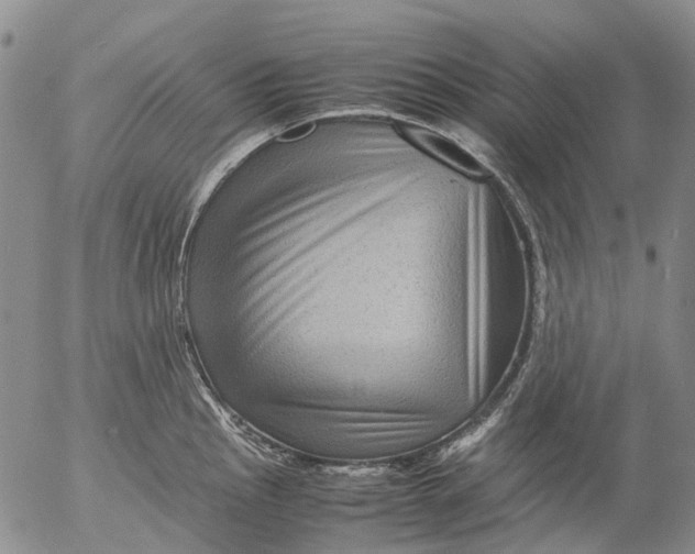 X0000053051145200508011841