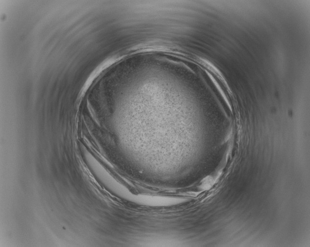 X0000053051146200508011841