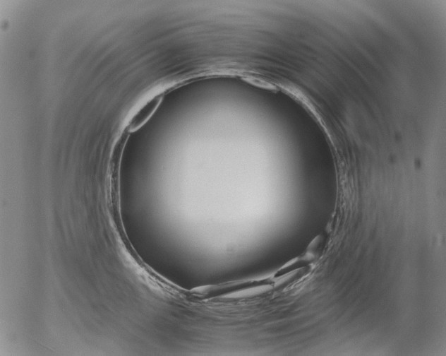 X0000053051147200508011841