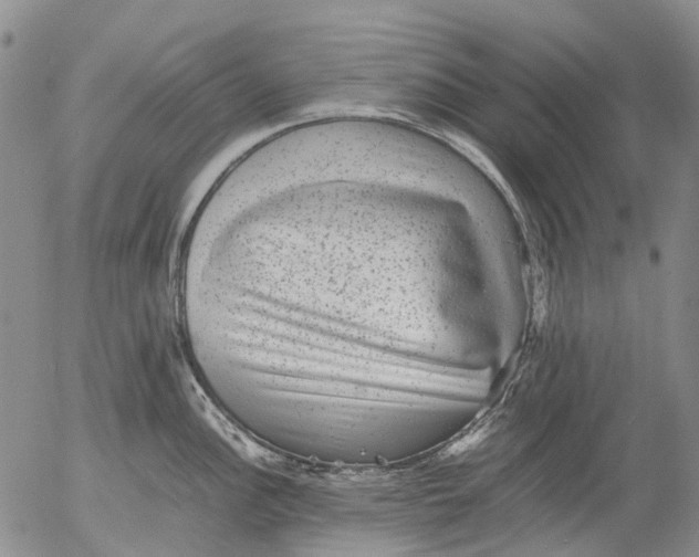 X0000053051148200508011841