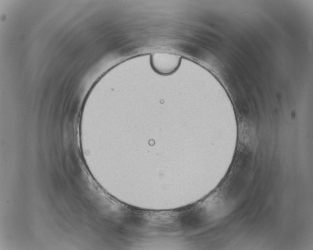 X0000053051150200508011841