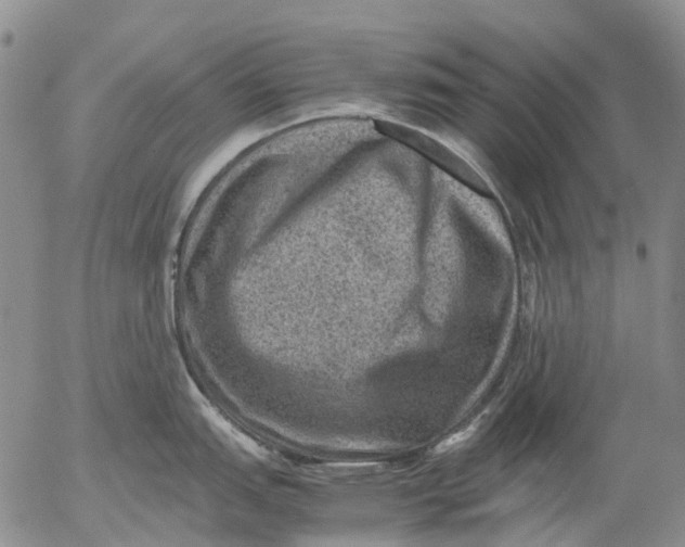 X0000053051151200508011841