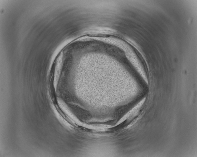 X0000053051152200508011841