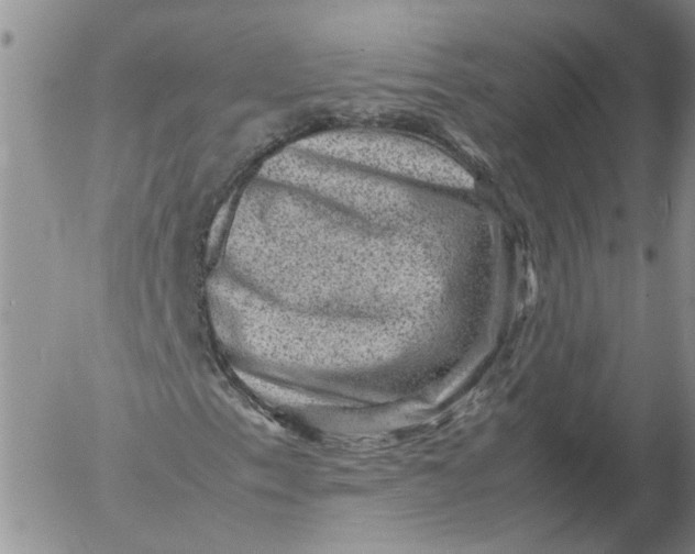 X0000053051153200508011840