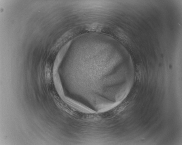 X0000053051154200508011840