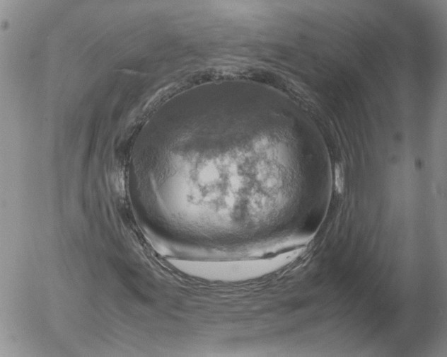 X0000053051155200508011840