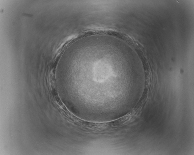 X0000053051157200508011840