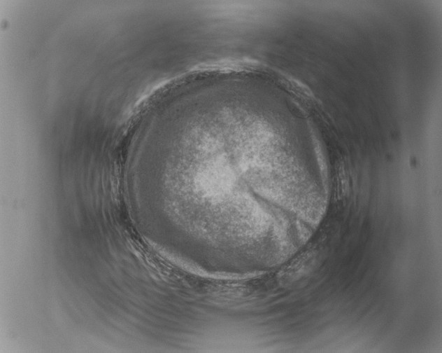 X0000053051158200508011840