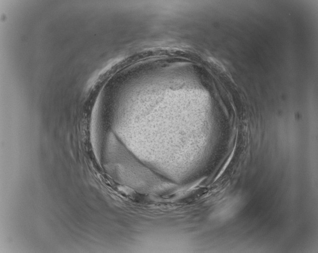 X0000053051159200508011840