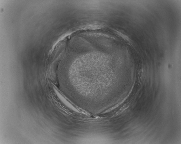 X0000053051160200508011840