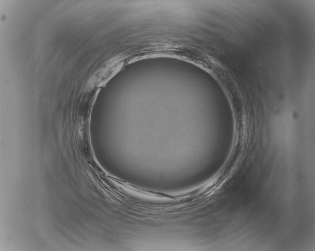 X0000053051161200508011840