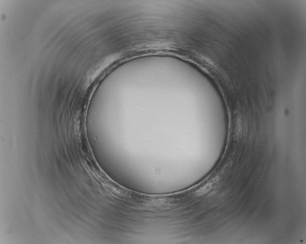 X0000053051162200508011840