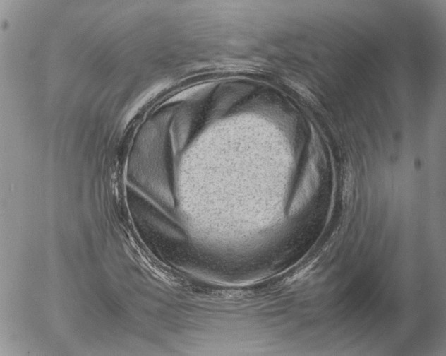 X0000053051163200508011840