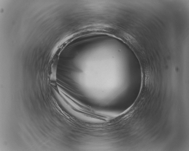 X0000053051164200508011840