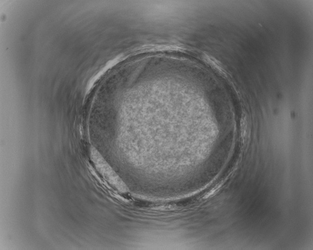 X0000053051165200508011840