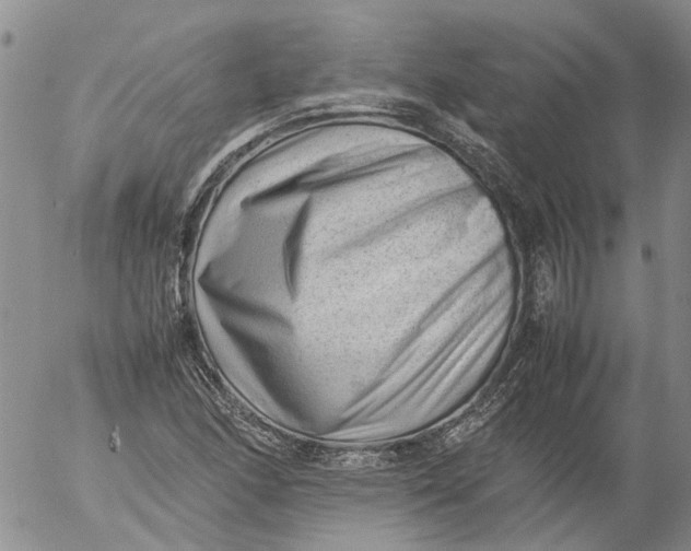 X0000053051166200508011840