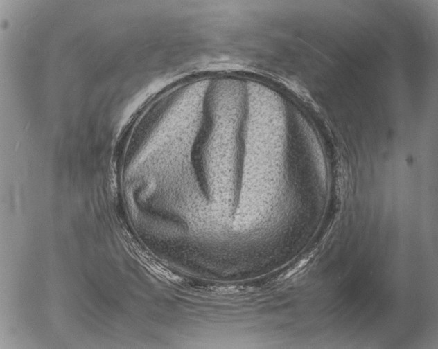 X0000053051167200508011840