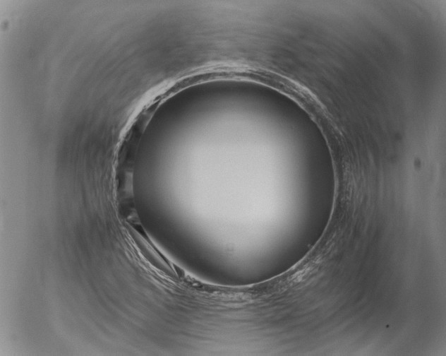 X0000053051168200508011840