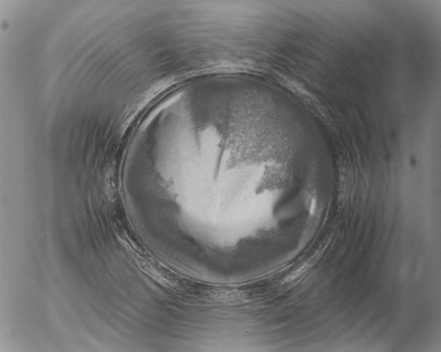 X0000053051170200508011840