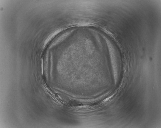 X0000053051171200508011840