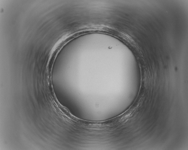 X0000053051172200508011840