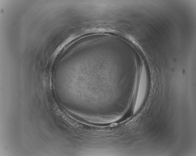 X0000053051173200508011840