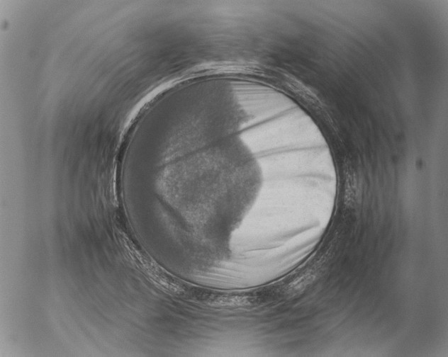 X0000053051174200508011840