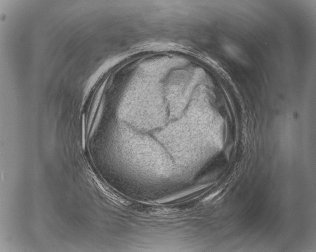 X0000053051175200508011840