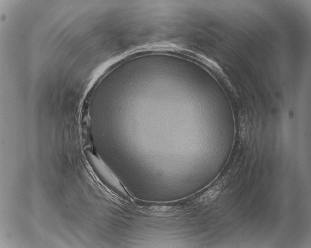 X0000053051176200508011840