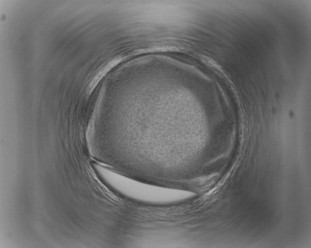 X0000053051177200508011840